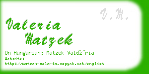 valeria matzek business card